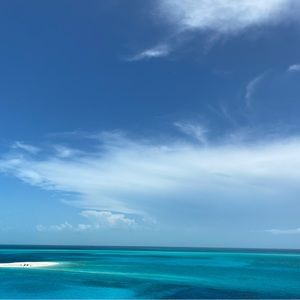 Meet your Posher, Karyn